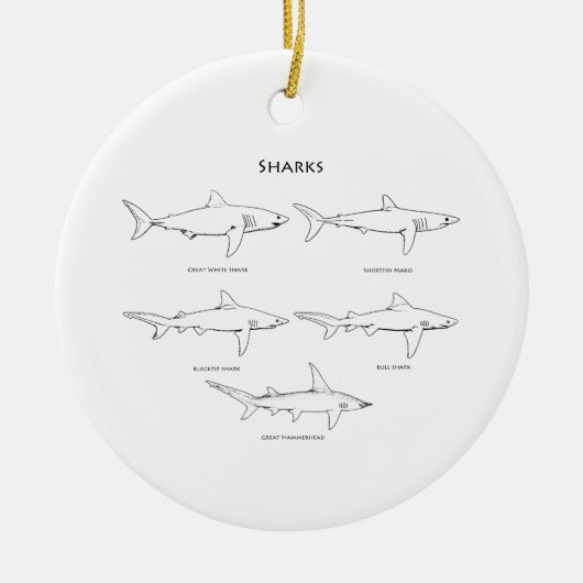 Ornement Rond En Céramique Logo d'espèces de requins (Devant)