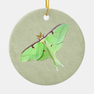 Ornement Rond En Céramique Luna Moth Ornament