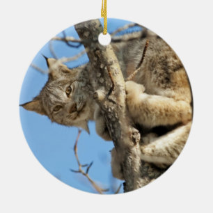 Ornement Rond En Céramique Lynx espiègle
