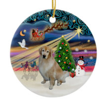 Magie de Noël - Golden Retriever clair 10