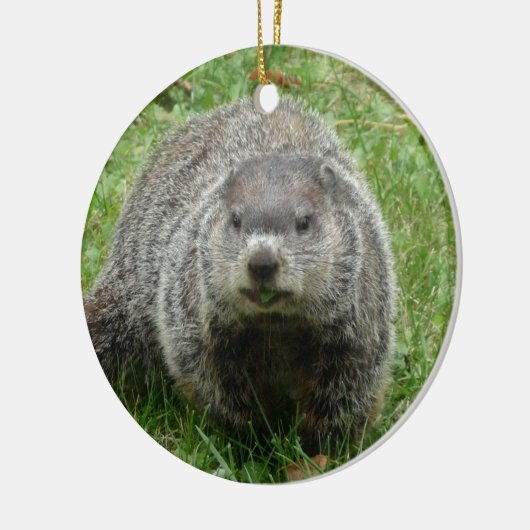 Ornement Rond En Céramique Manger des marmottes (Gauche)