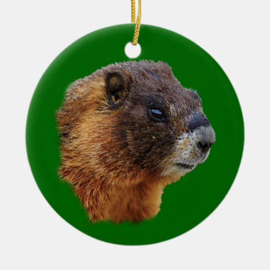 Ornement Rond En Céramique marmotte drôle (Devant)