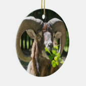 Ornement Rond En Céramique Mouflon Ram (Droite)