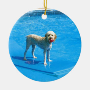 Ornement Rond En Céramique Natation blanche de chien de Cockapoo sur un