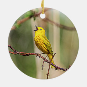 Ornement Rond En Céramique Paruline jaune chantant