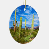 Ornement Rond En Céramique Paysage de cactus du désert, Arizona (Droite)