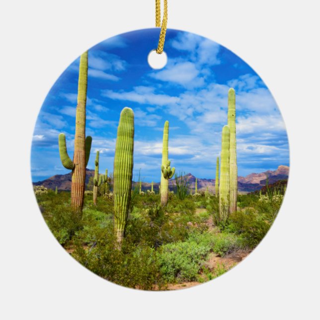 Ornement Rond En Céramique Paysage de cactus du désert, Arizona (Devant)