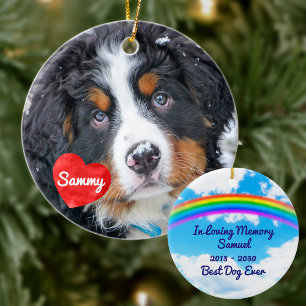 Ornement Rond En Céramique Pet Memorial - Rainbow Bridge Modern Chien Photo