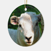 ORNEMENT ROND EN CÉRAMIQUE PETIT MOQUETTE (Gauche)