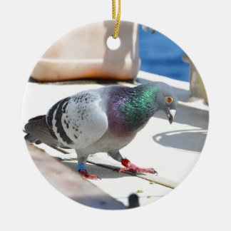 Ornement Rond En Céramique Pigeon voyageur sur un yacht