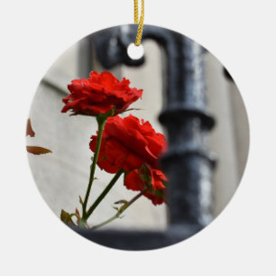 Ornement Rond En Céramique Porte de Jardin Rouge Rose New York Photographie