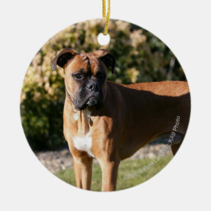 Ornement Rond En Céramique Position de chien de boxeur de faon