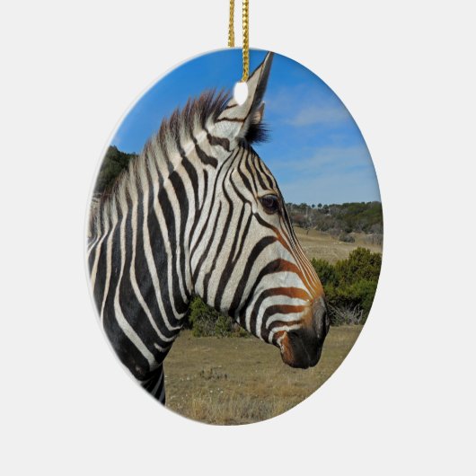 Ornement Rond En Céramique Profil Zebra de Hartmann à Fossil Rim (Droite)