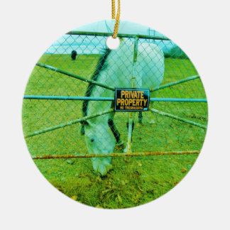 Ornement Rond En Céramique Propriété Privée, Cheval