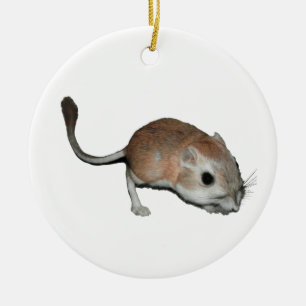 Ornement Rond En Céramique Rat de kangourou