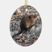 Ornement Rond En Céramique Rat musqué (Droite)