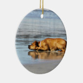 Ornement Rond En Céramique Rhodesian Ridgeback - l'eau est-elle froide ? (Droite)