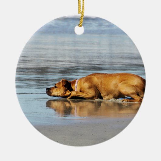 Ornement Rond En Céramique Rhodesian Ridgeback - l'eau est-elle froide ? (Devant)