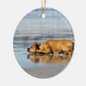 Ornement Rond En Céramique Rhodesian Ridgeback - l'eau est-elle froide ? (Gauche)