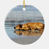 Ornement Rond En Céramique Rhodesian Ridgeback - l'eau est-elle froide ? (Dos)