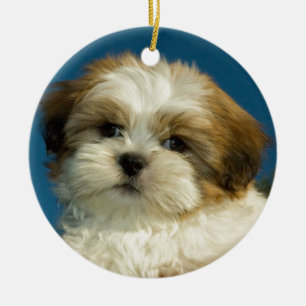 Ornement Rond En Céramique Shih Tzu