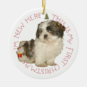 Ornement Rond En Céramique Shih Tzu Puppy Premier Noël