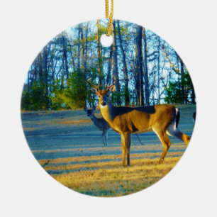 Ornement Rond En Céramique Stade / Buck Deer, Ciel bleu clair