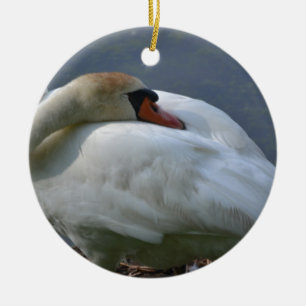 Ornement Rond En Céramique Swan