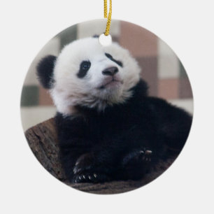 Ornement Rond En Céramique Sweet Giant Panda Baby