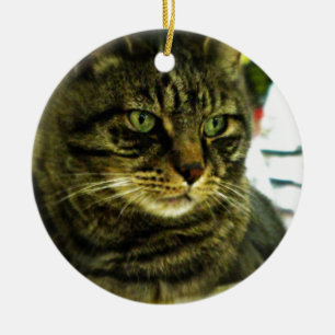 Ornement Rond En Céramique Tabby au visage aux yeux verts