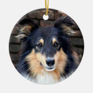 Ornement Rond En Céramique Tricolor Sheltie face