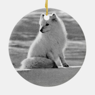 Ornement Rond En Céramique Vintage USA Alaska Arctic fox 1970