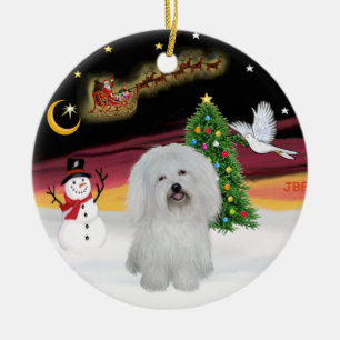 Ornement Rond En Céramique Vol de nuit - Coton de Tulear