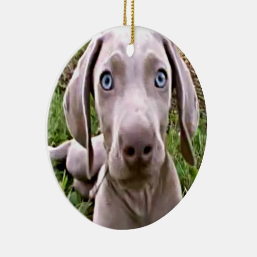 ORNEMENT ROND EN CÉRAMIQUE "WEIMARANER" ORNAMENT DE NOËL (Droite)