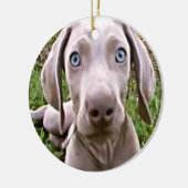 ORNEMENT ROND EN CÉRAMIQUE "WEIMARANER" ORNAMENT DE NOËL (Gauche)