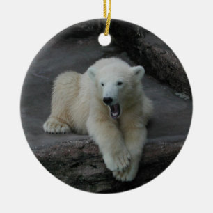 Ornement Rond En Céramique Yawning Polar bear cub