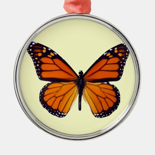 Ornement rond papillon orange (Devant)