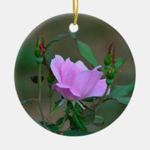 Ornement Rose de coup de fouet