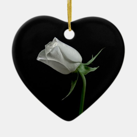 Ornement rose romantique (Devant)