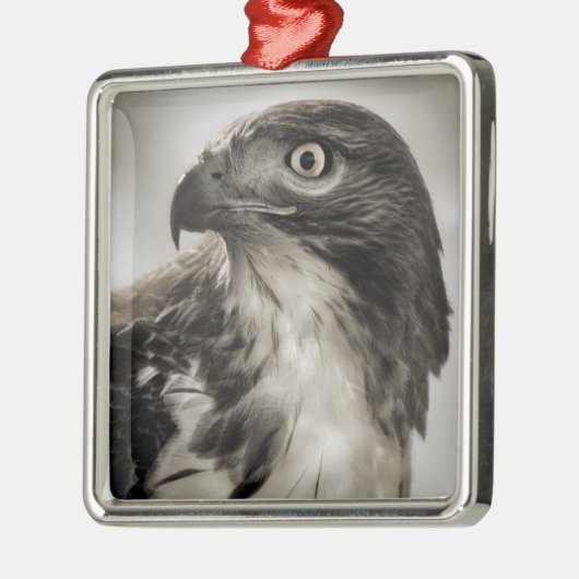 ornement Rouge-coupé la queue de faucon (Gauche)