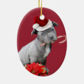 Ornement rouge de chiot de pitbull de Noël (Dos)