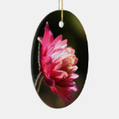 Ornement rouge de fleur au soleil (Droite)