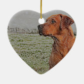 Ornement rouge de Noël de laboratoire (Dos)