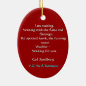 ORNEMENT ROUGE POÉTIQUE (Dos)