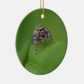 Ornement sautant de Noël d'araignée (Droite)