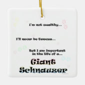 Ornement Schnauzer géant (Devant)