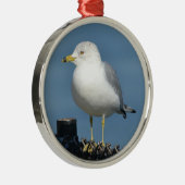 Ornement Seagull (Droite)