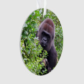 Ornement semi-transparent de gorille (devant)