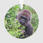 Ornement semi-transparent de gorille (dos)