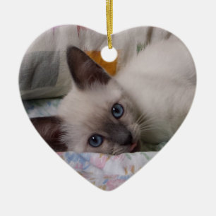 Ornement siamois de chaton